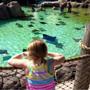 Meet your Posher, Annie